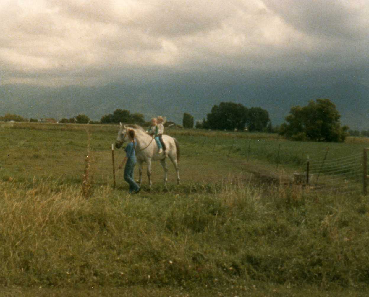Image 73